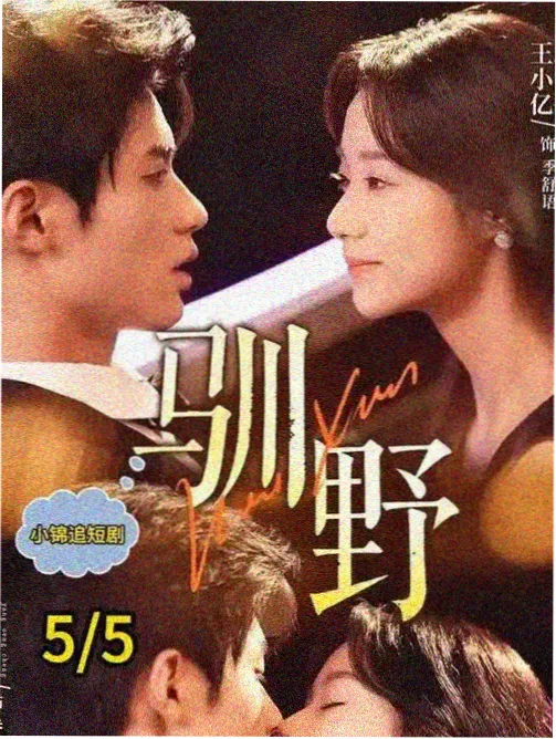 小谢尔顿第二季在线观看